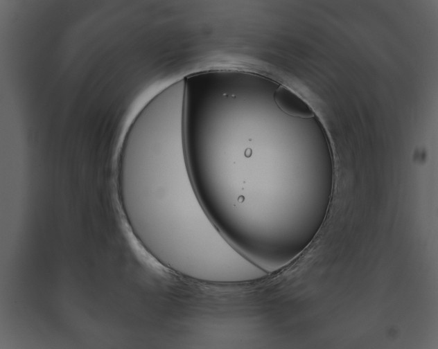 X0000091681152200708231102