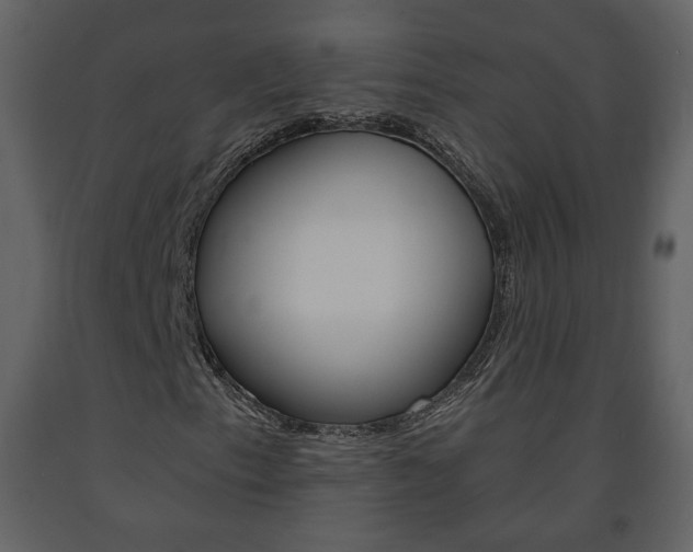 X0000091681153200708231101