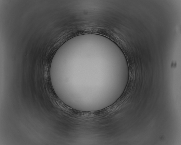 X0000091681154200708231101