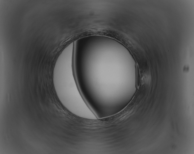 X0000091681156200708231101