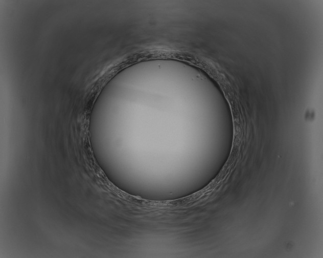 X0000091681157200708231101