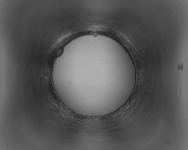 X0000091681158200708231101