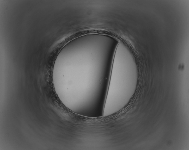 X0000091681159200708231101
