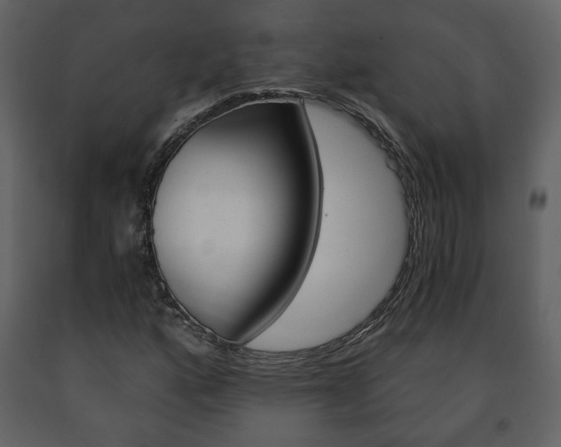X0000091681160200708231101