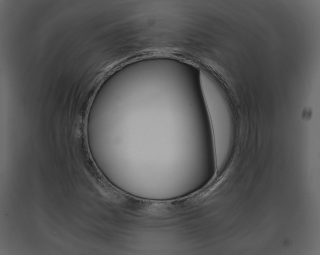 X0000091681161200708231101