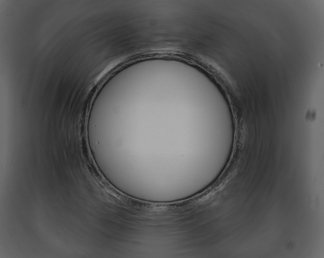 X0000091681162200708231101