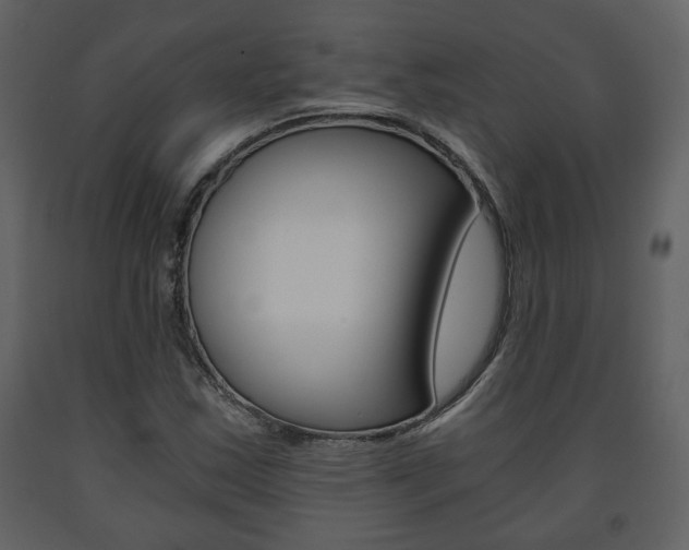 X0000091681163200708231101