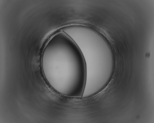 X0000091681164200708231101