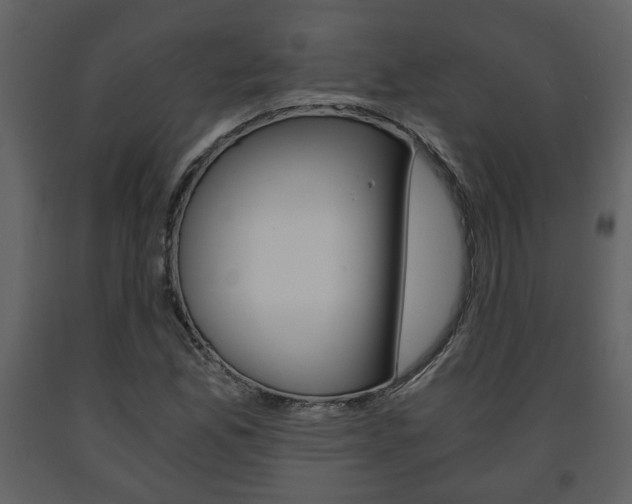 X0000091681165200708231101