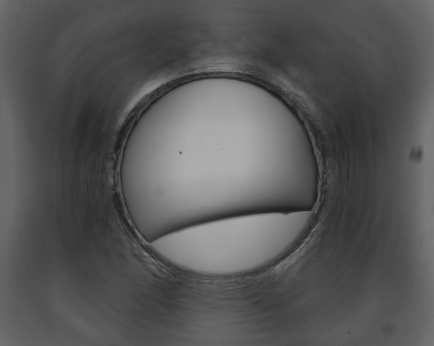 X0000091681166200708231101
