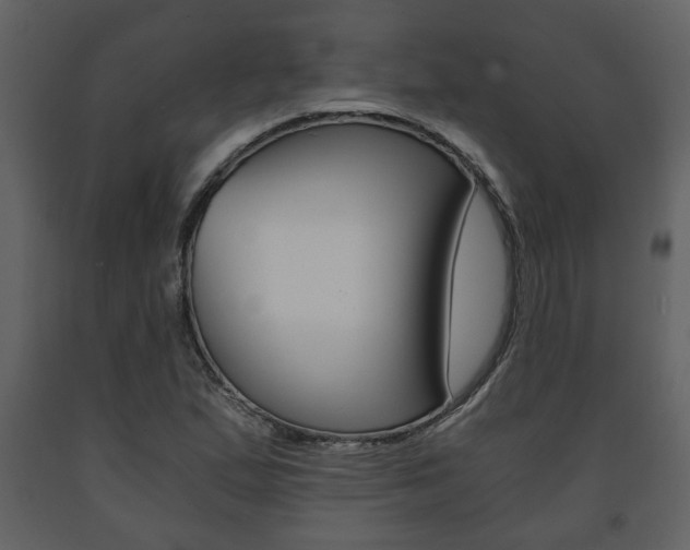 X0000091681167200708231101