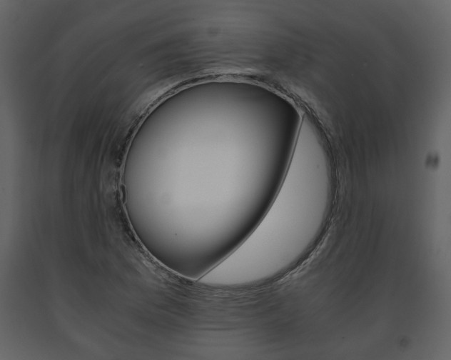 X0000091681169200708231101