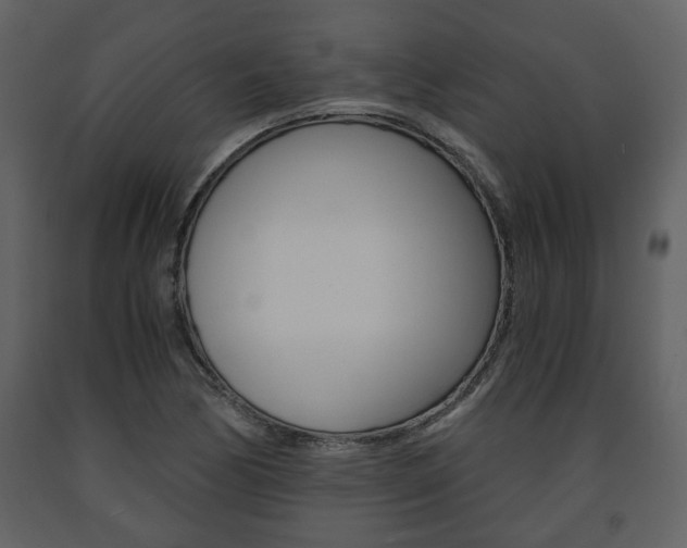 X0000091681170200708231101