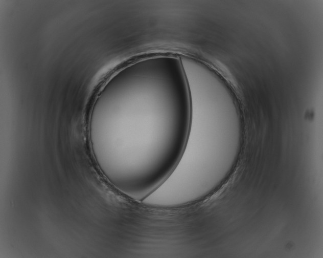 X0000091681172200708231101