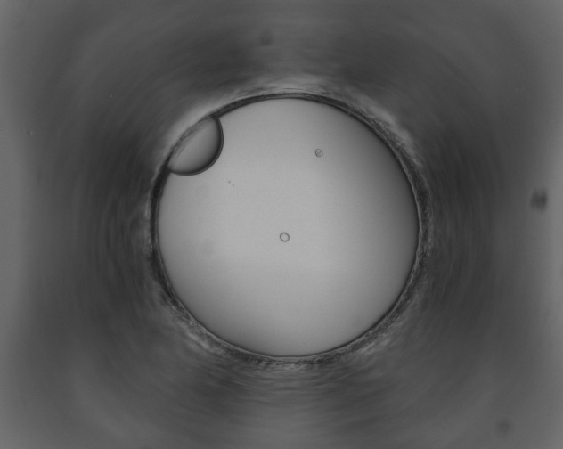 X0000091681174200708231100