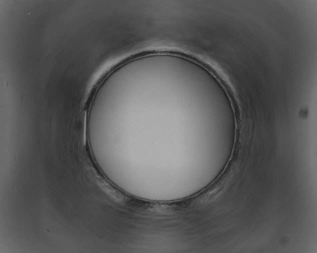 X0000091681175200708231100