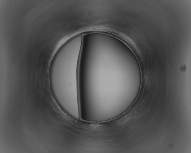X0000091681176200708231100