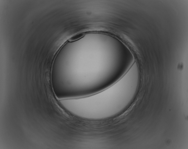 X0000091681177200708231100