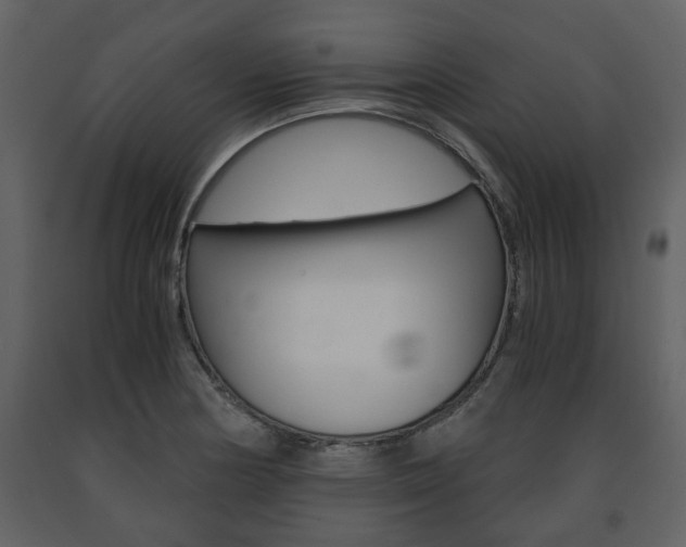 X0000091681178200708231100