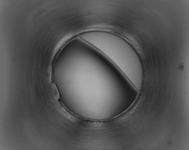 X0000091681180200708231100