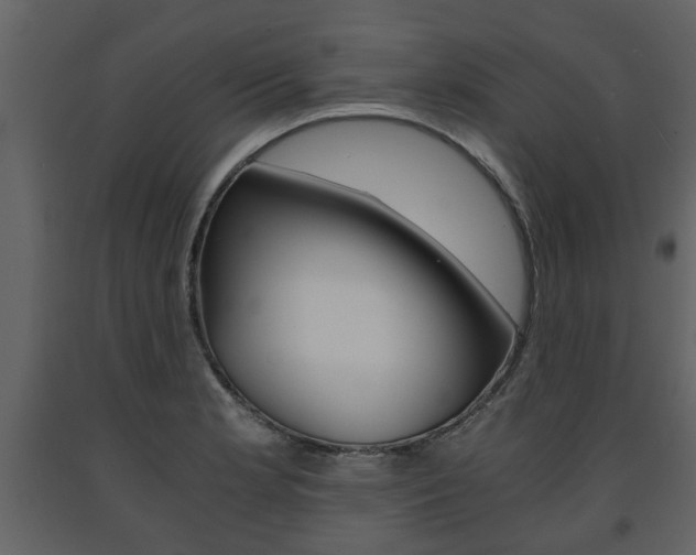 X0000091681181200708231100