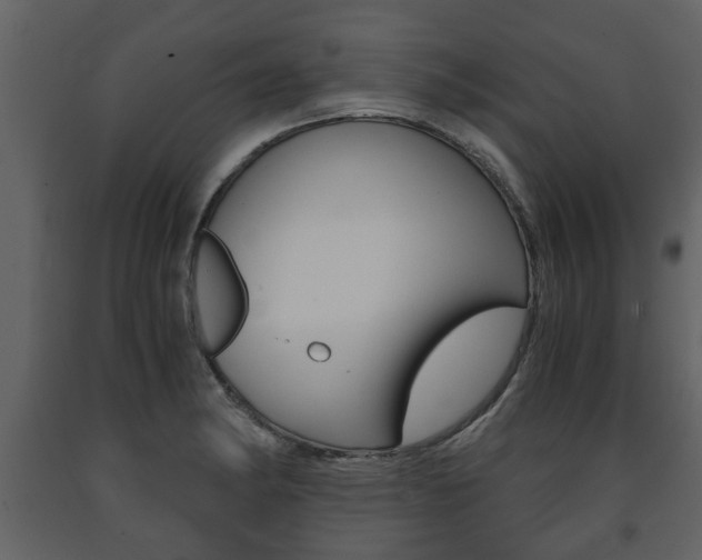 X0000091681182200708231100