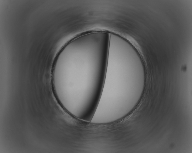 X0000091681183200708231100