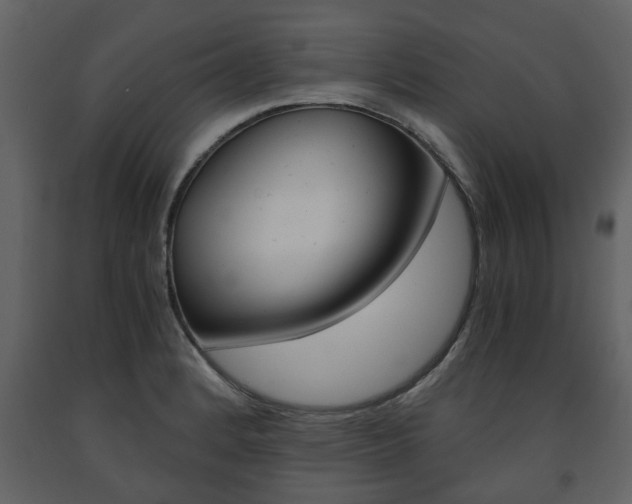 X0000091681184200708231100