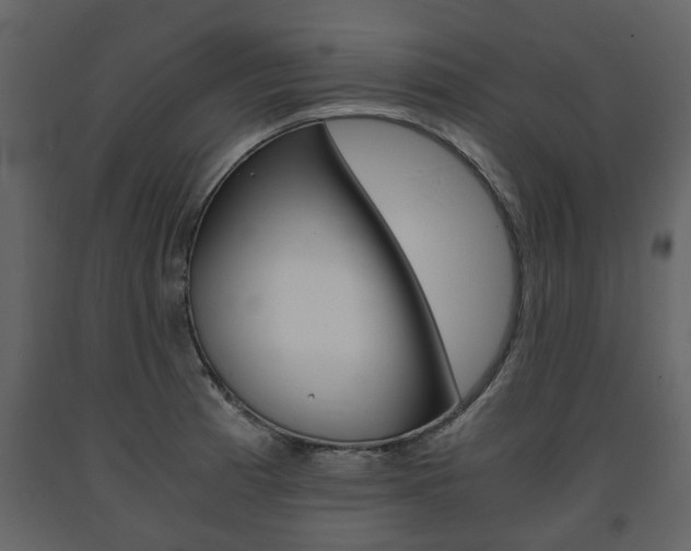 X0000091681185200708231100