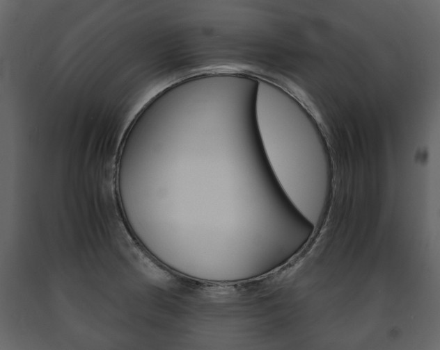 X0000091681186200708231100
