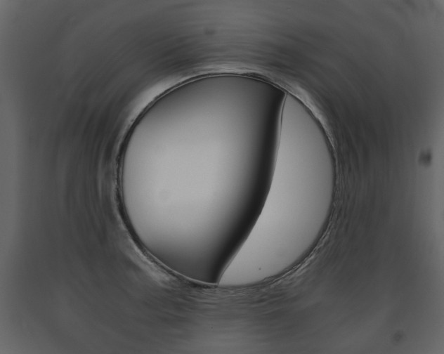 X0000091681187200708231100