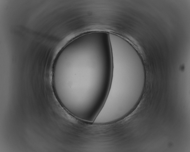 X0000091681188200708231100