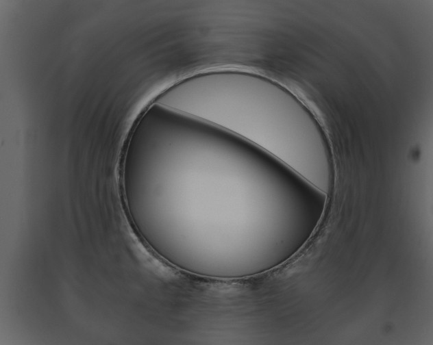 X0000091681189200708231100