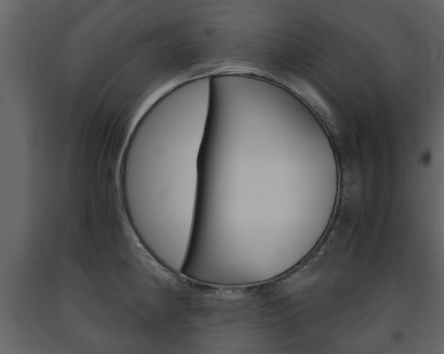 X0000091681190200708231100