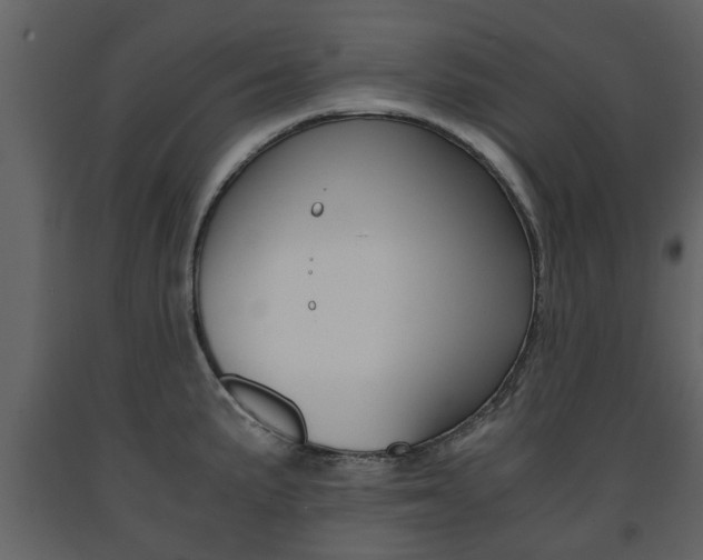 X0000091681191200708231100