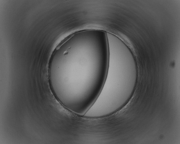 X0000091681192200708231100
