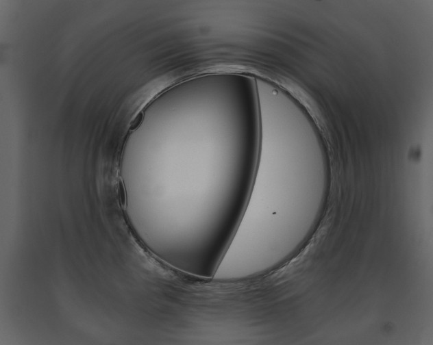X0000091681193200708231100