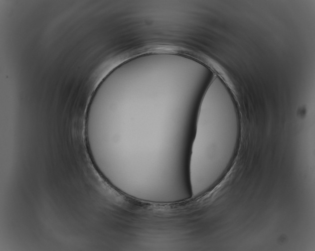 X0000091681194200708231100
