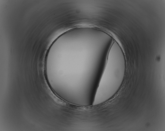 X0000091681195200708231100