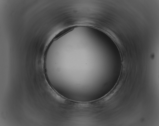 X0000091681196200708231100