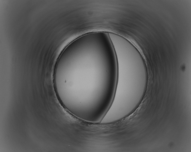 X0000091681197200708231100