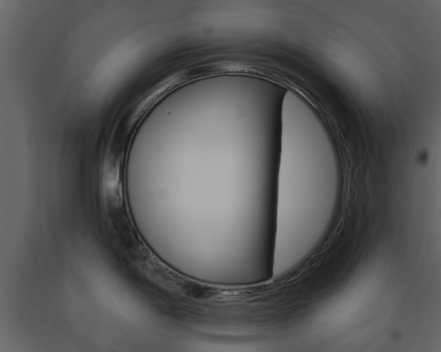 X0000091681198200708231100
