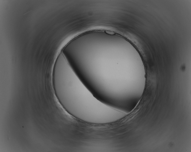 X0000091681199200708231100