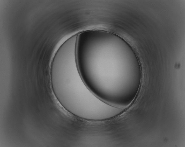 X0000091681200200708231100