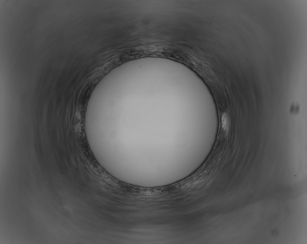 X0000091681203200708231059