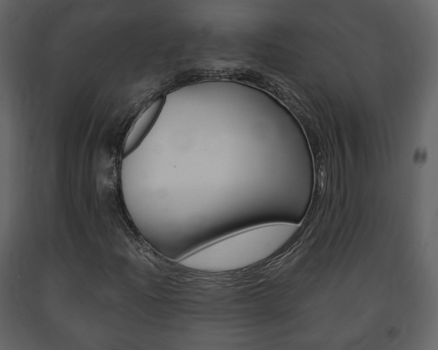 X0000091681204200708231059