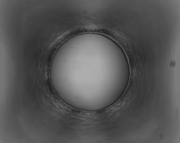 X0000091681205200708231059