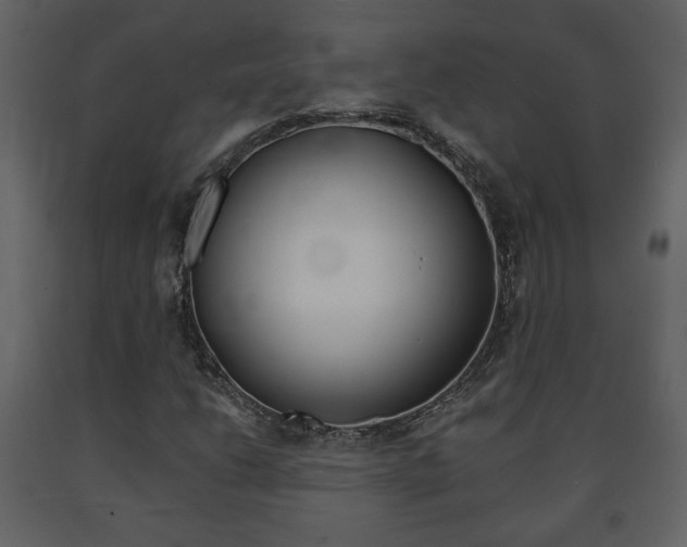 X0000091681206200708231059