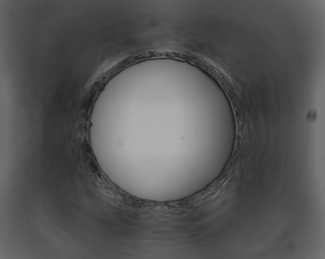 X0000091681207200708231059