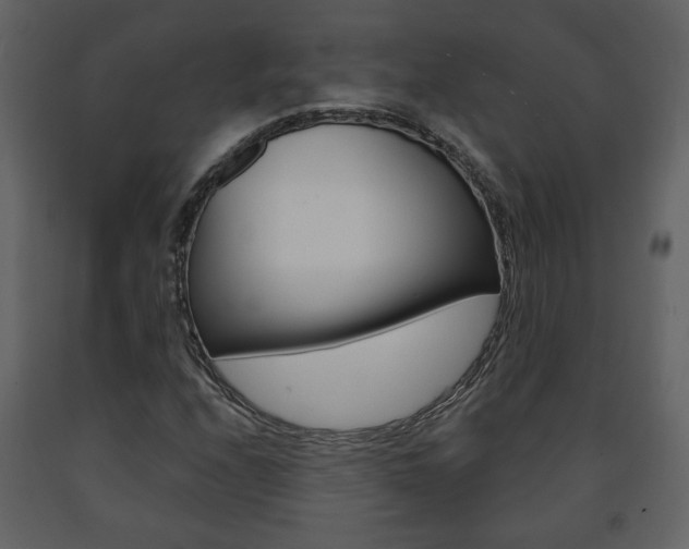 X0000091681208200708231059